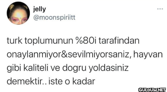 turk toplumunun %80i...