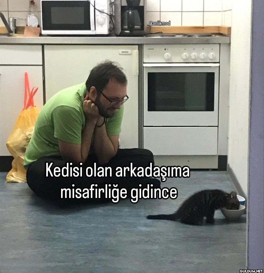 Banlikmod 0000 Kedisi olan...