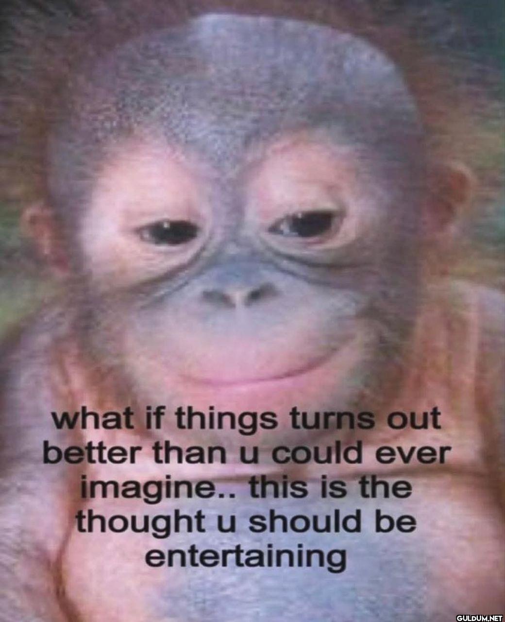 what if things turns out...