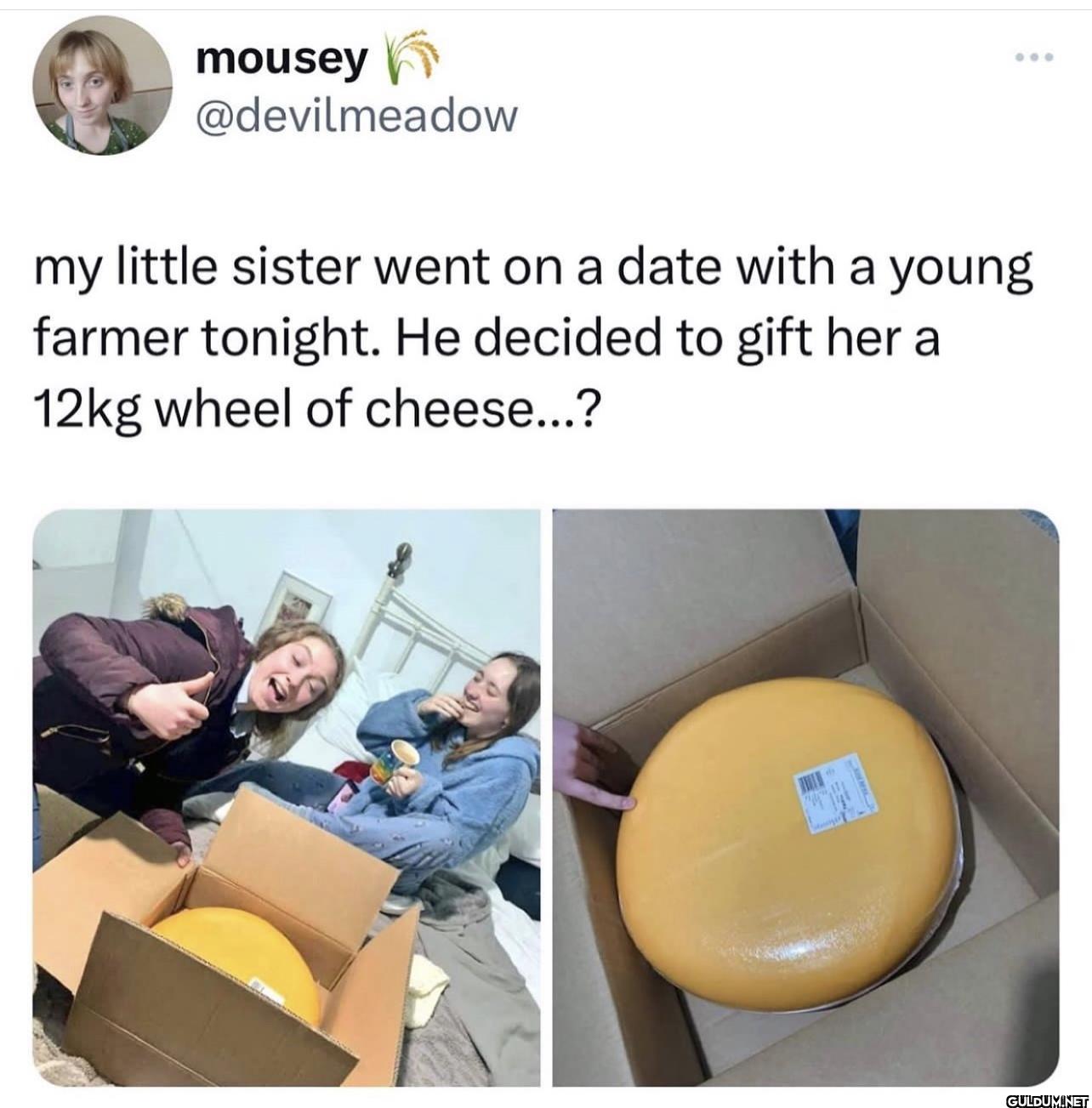 my little sister went on a...