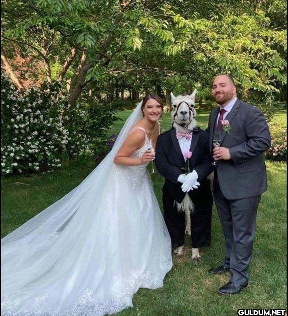 This couple had their pet...