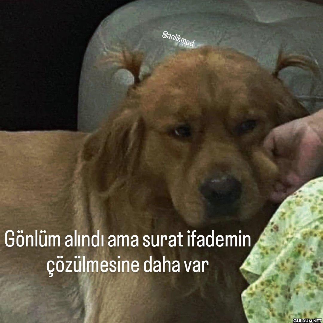 Banlikmod Gönlüm alındı...