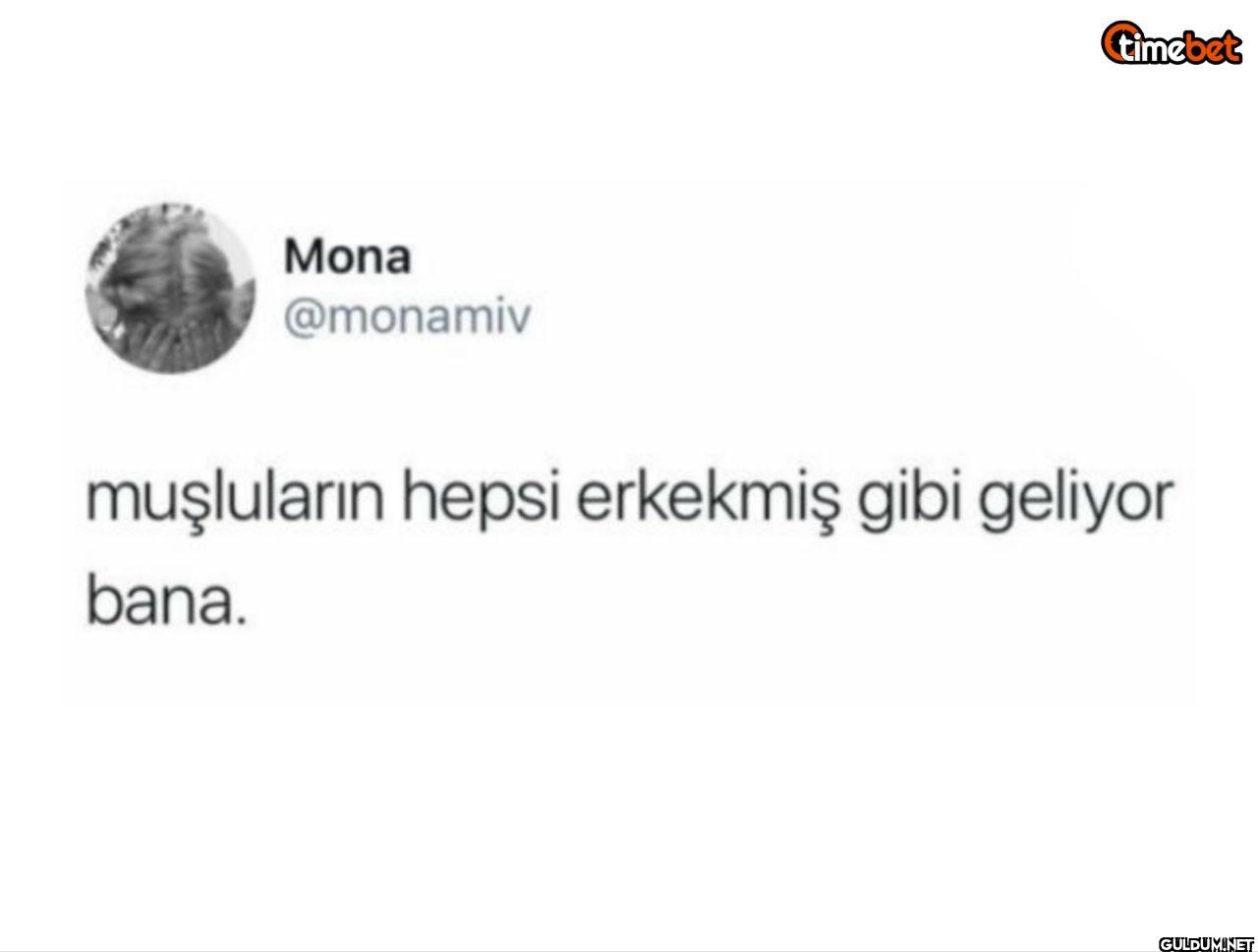 timebet muşluların hepsi...