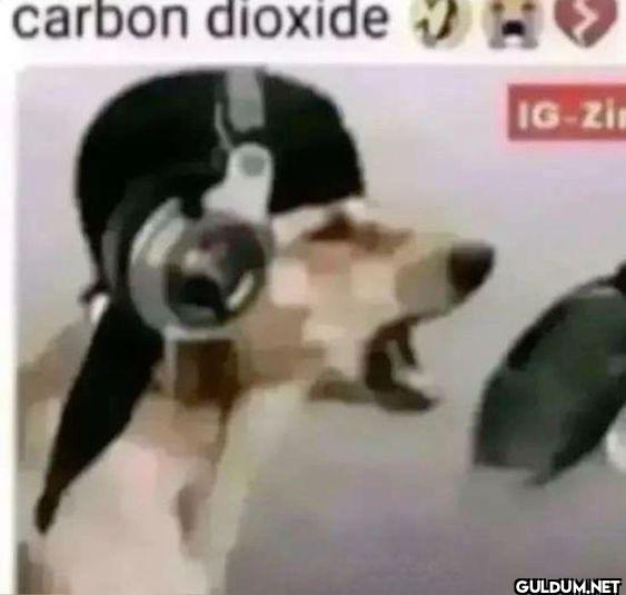 carbon dioxide IG-Zi
