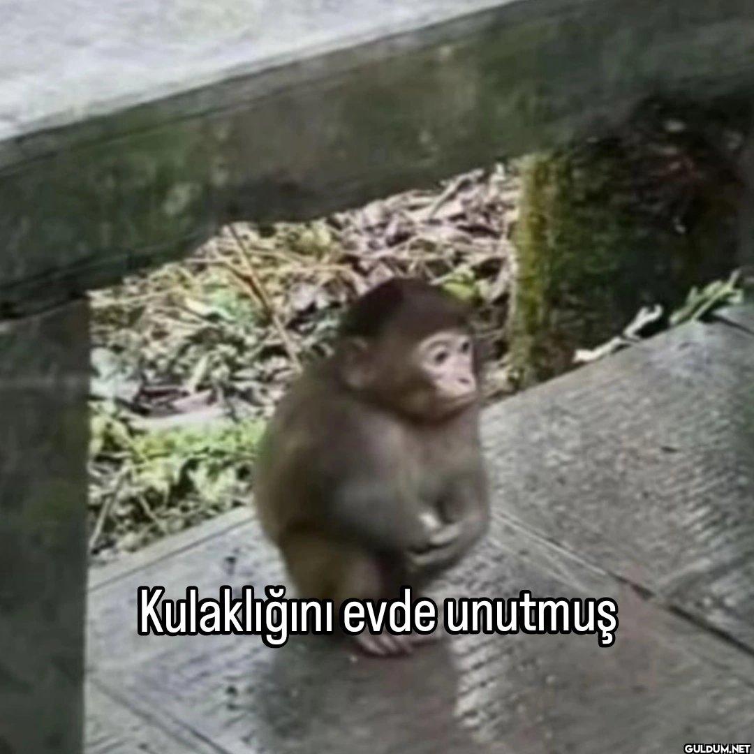 Kulaklığını evde unutmuş
