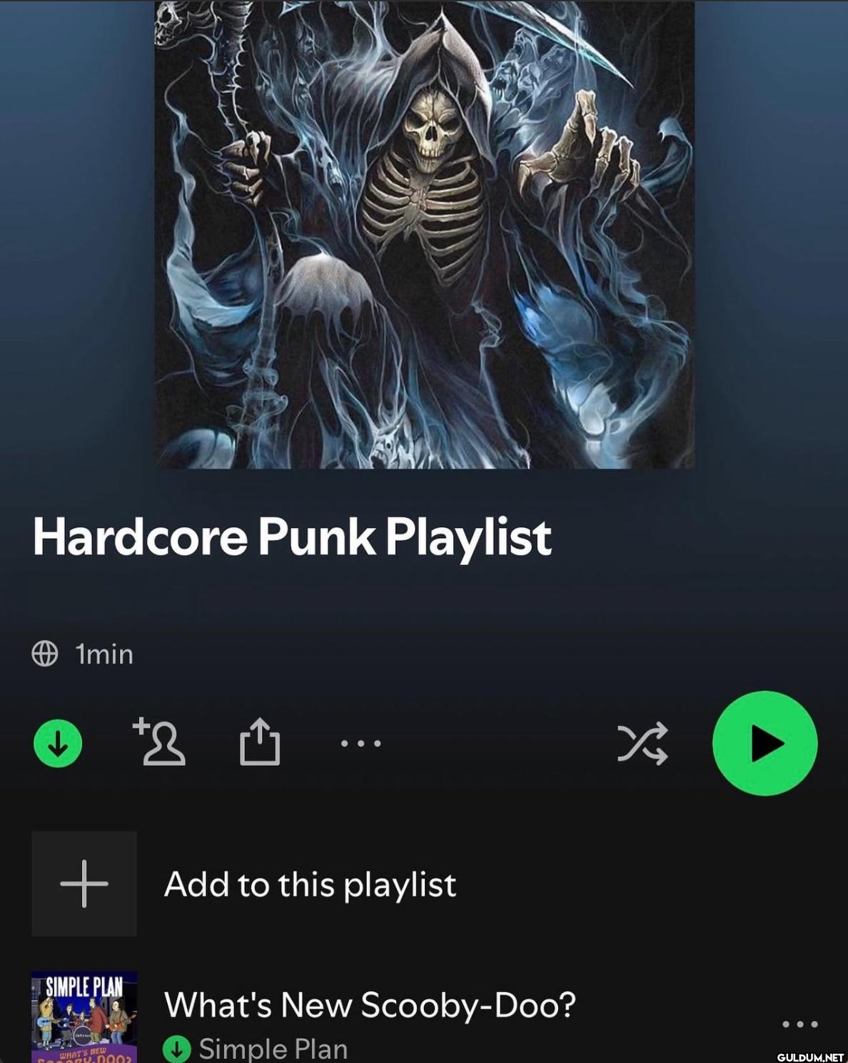 Hardcore Punk Playlist...