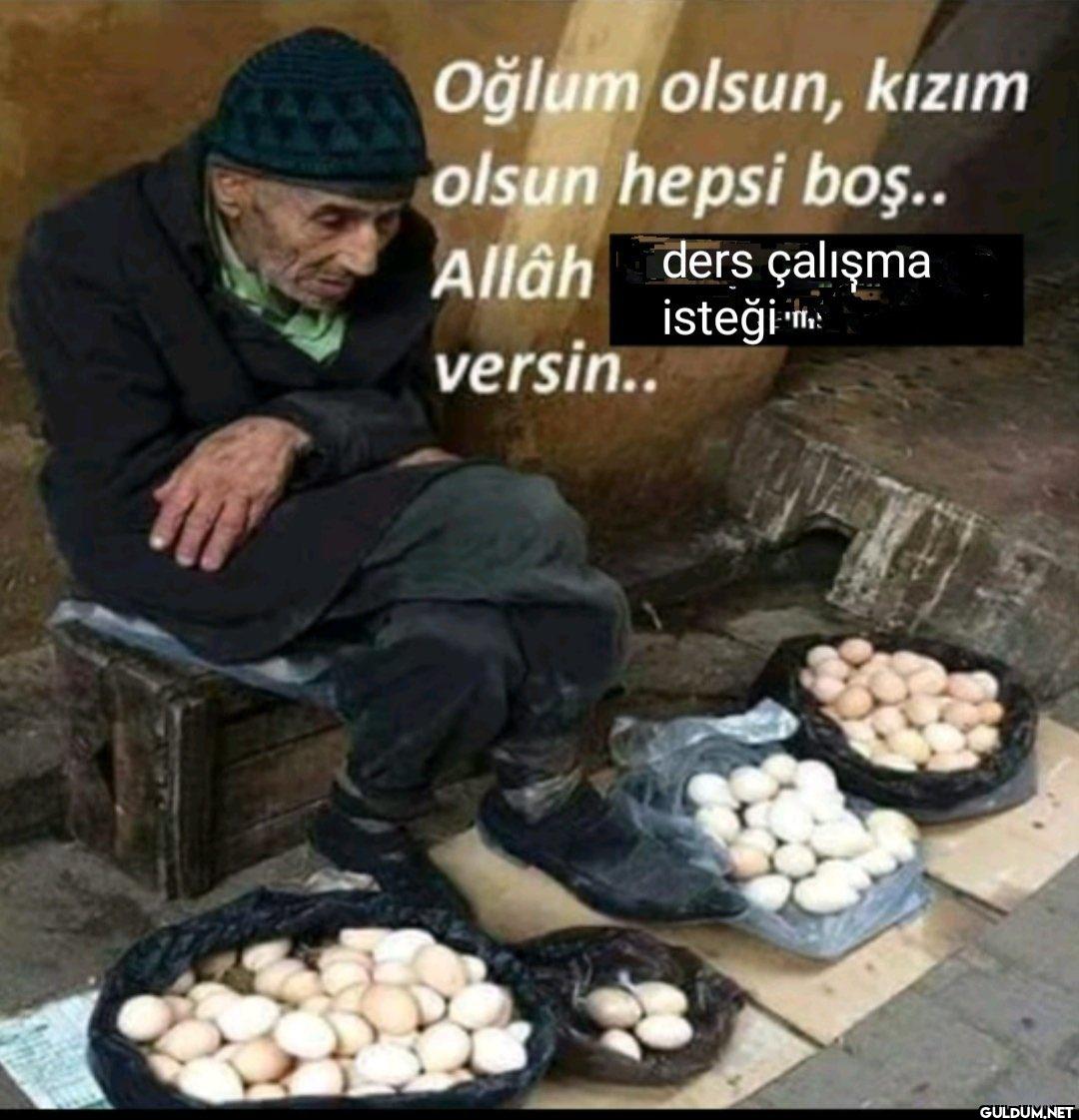 Oğlum olsun, kızım olsun...