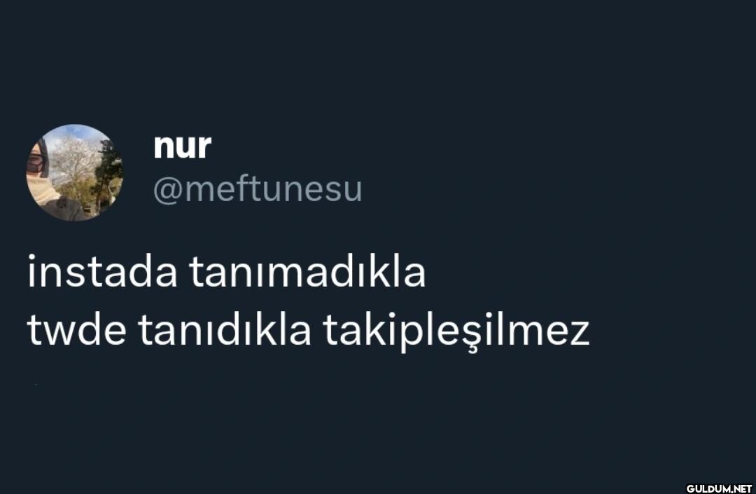 instada tanımadıkla twde...