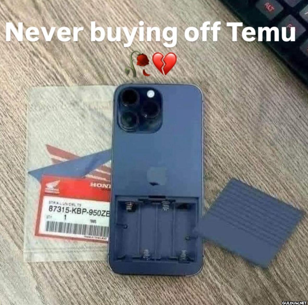 ALT Never buying off Temu...