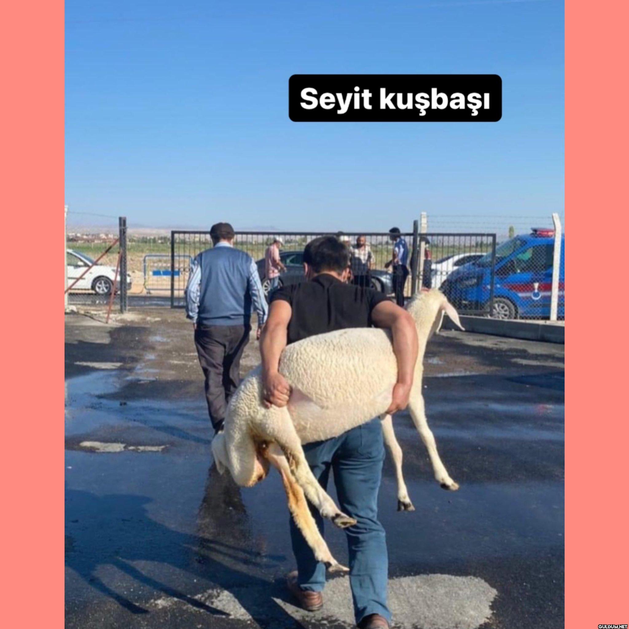 Seyit kuşbaşı