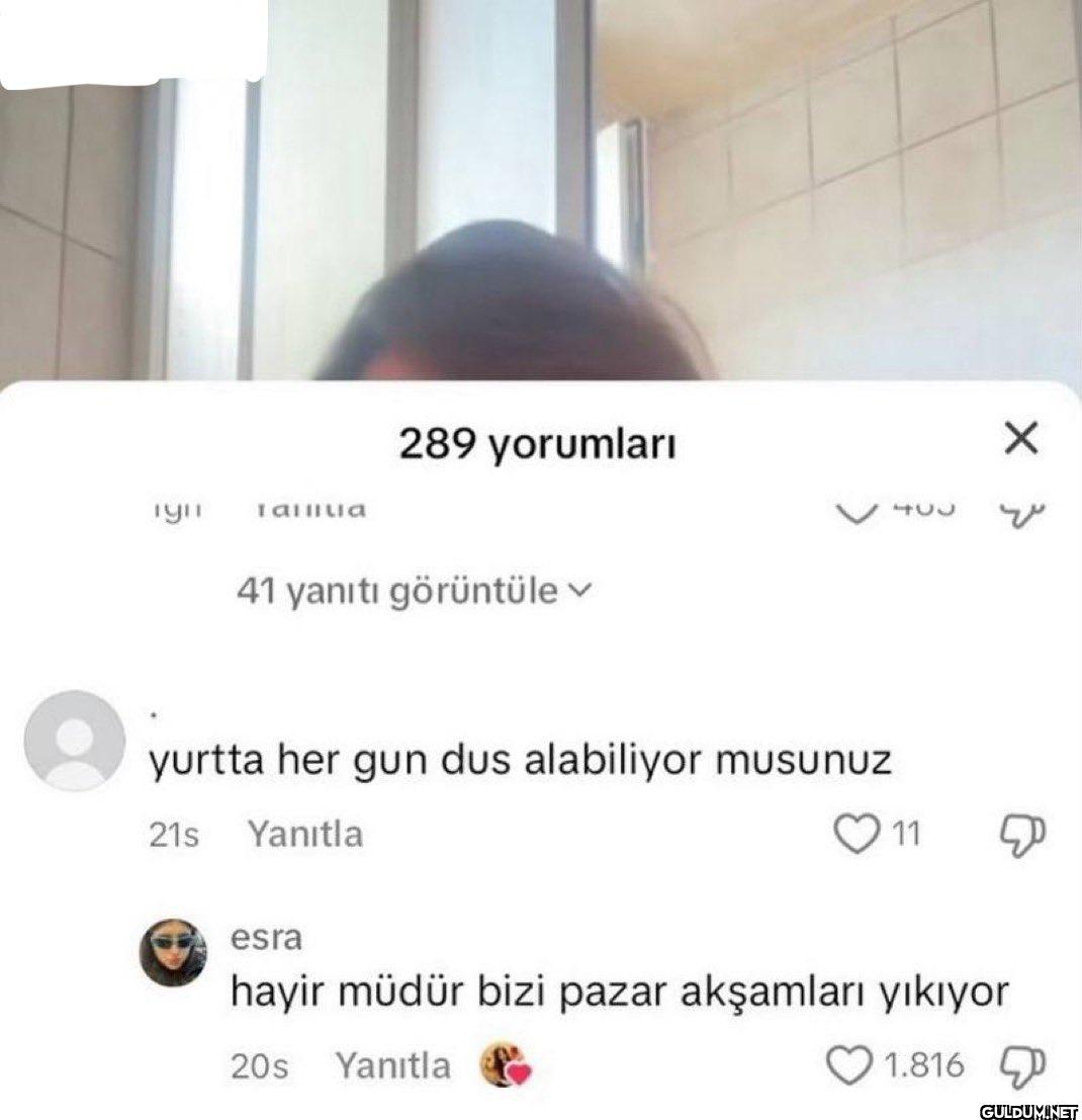 iyi Talliua 289 yorumları...