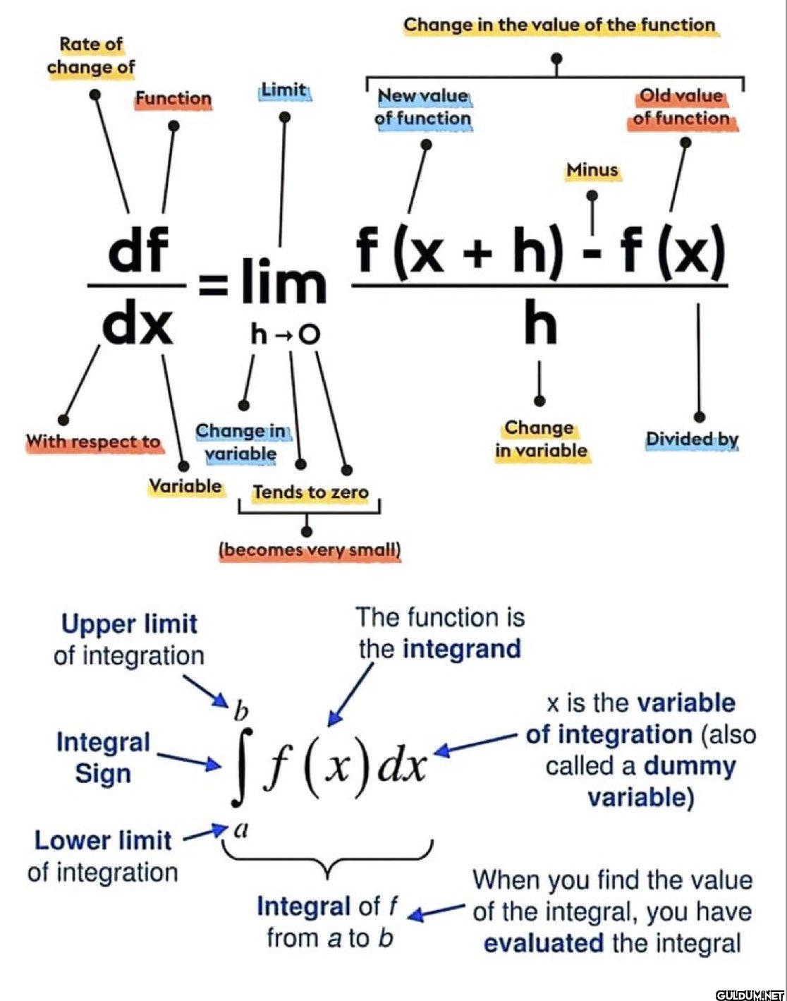 Differential calculus...