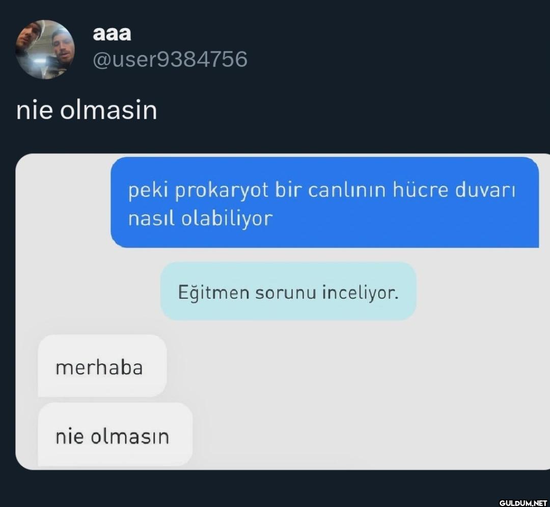 nie olmasin peki prokaryot...