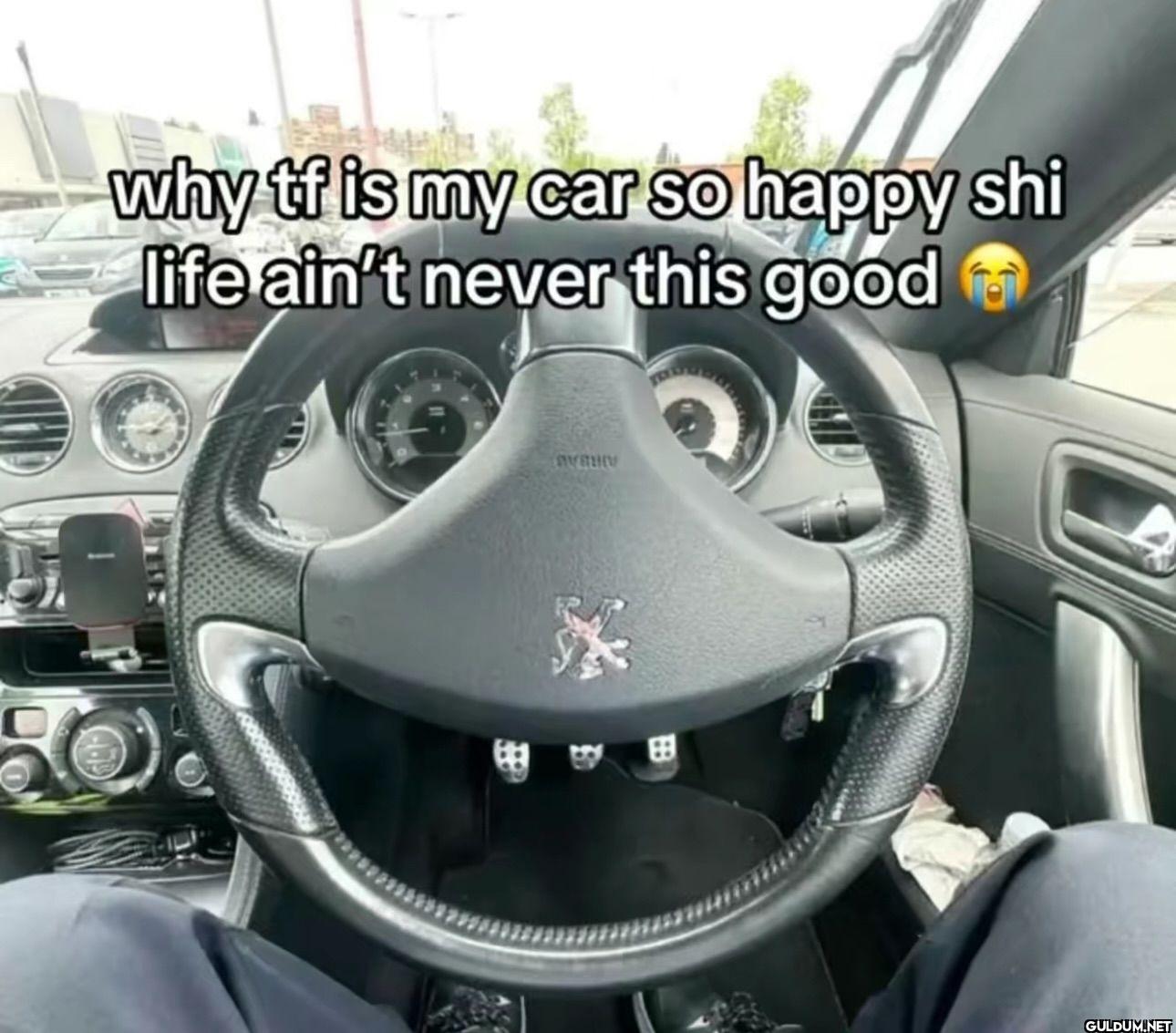 why tf is my car so happy...