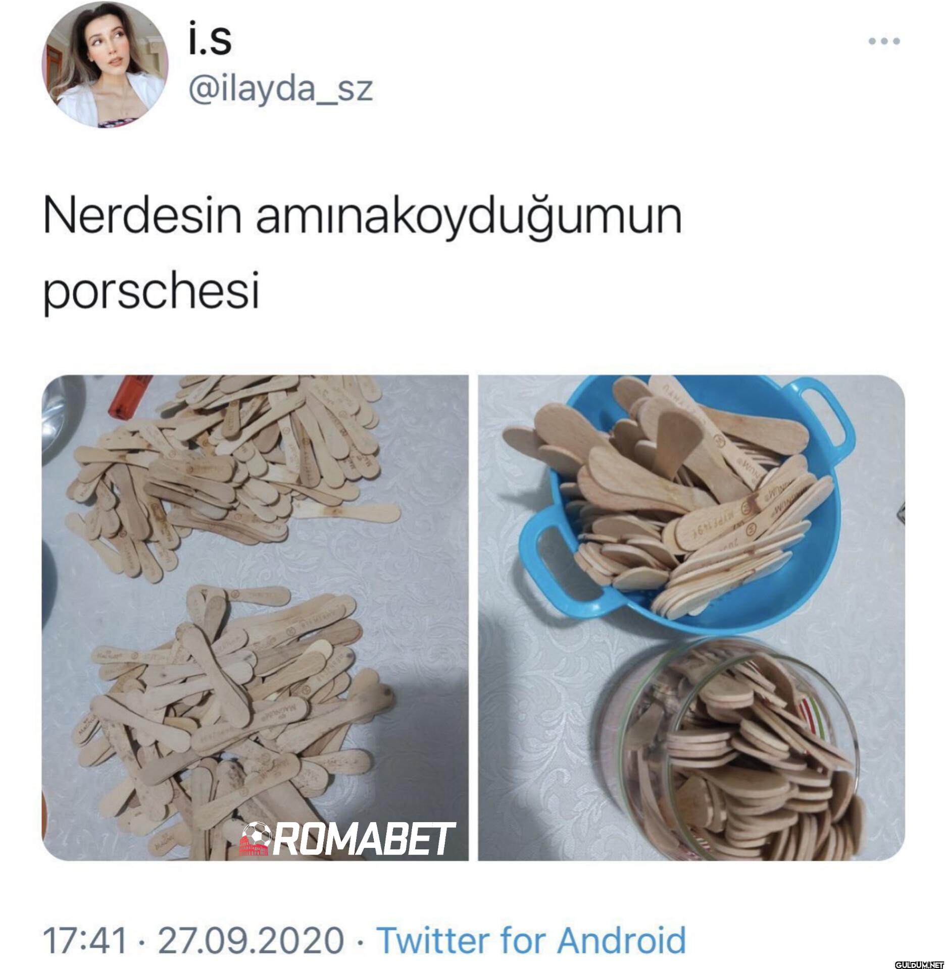 Nerdesin amına koyduğumun...