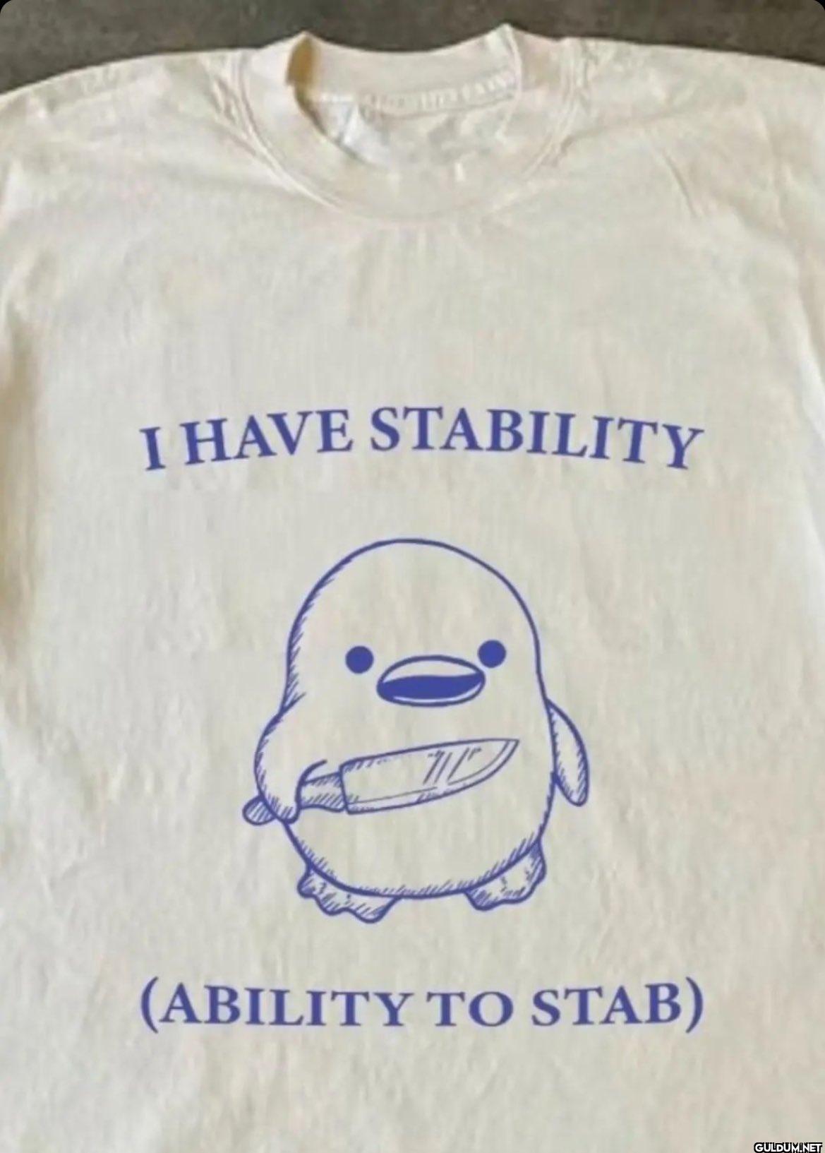 I HAVE STABILITY (ABILITY TO STAB)