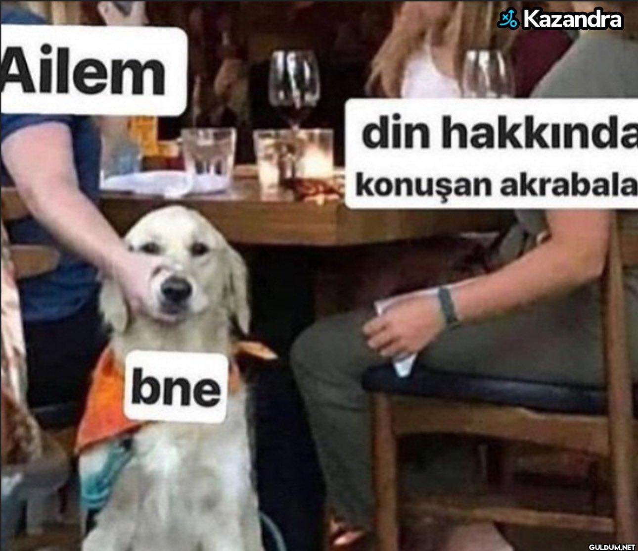 Kazandra Ailem din...