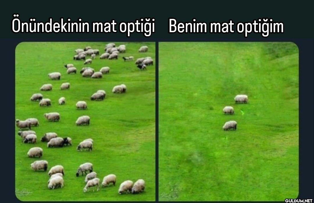 #tyt25 #yks2025   ...
