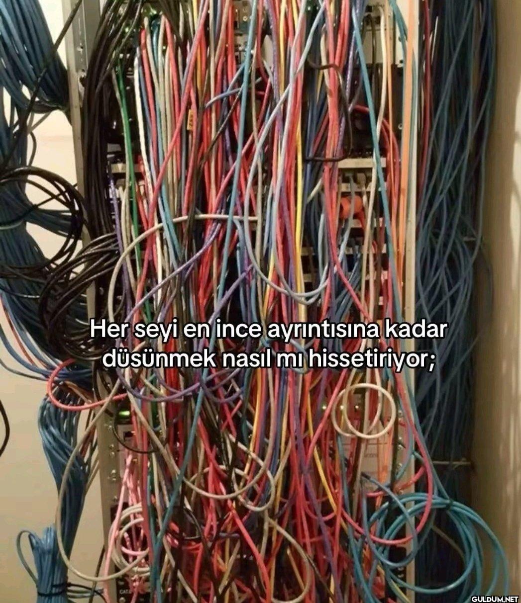 Her seyi en ince...
