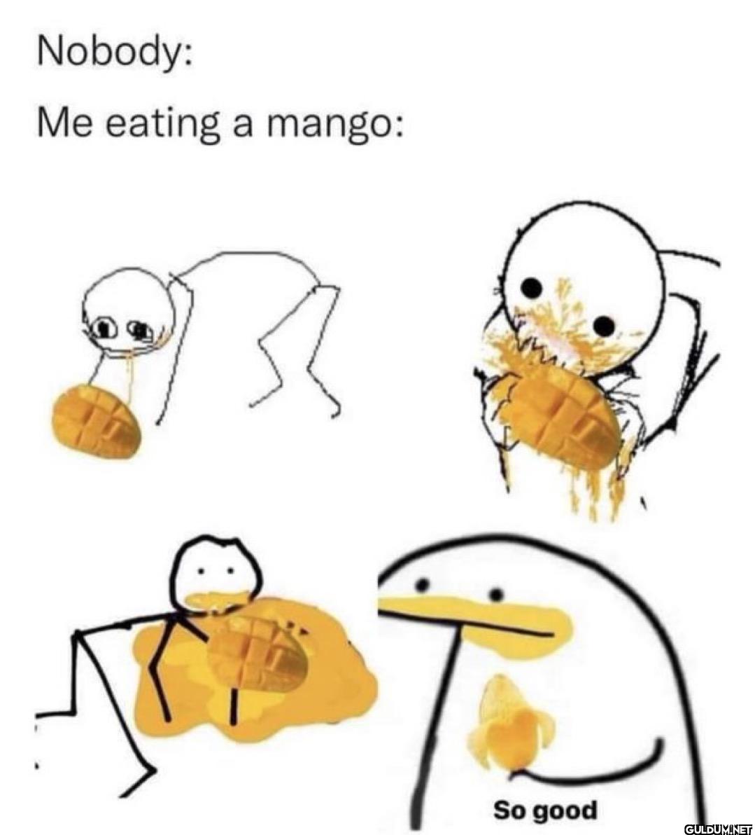 Nobody: Me eating a mango:...