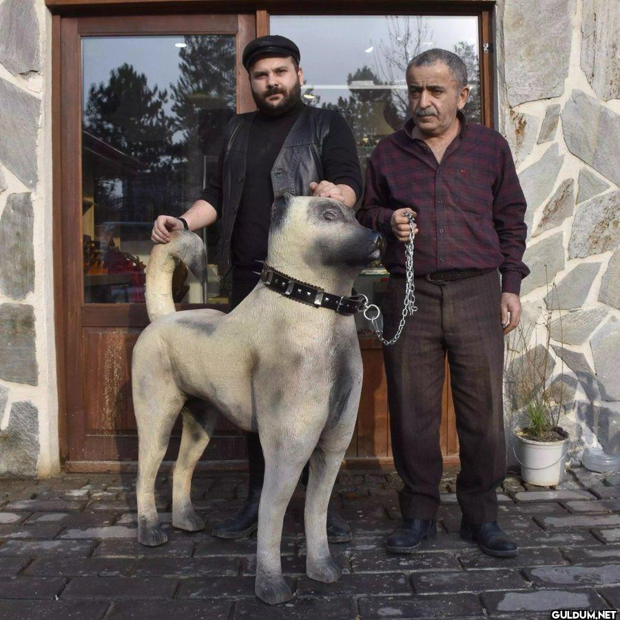 Sivas’ta 1 yılda...