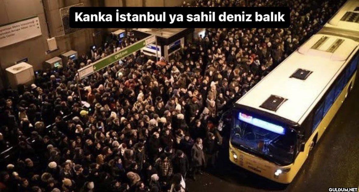 12207 o Cenar Kanka...
