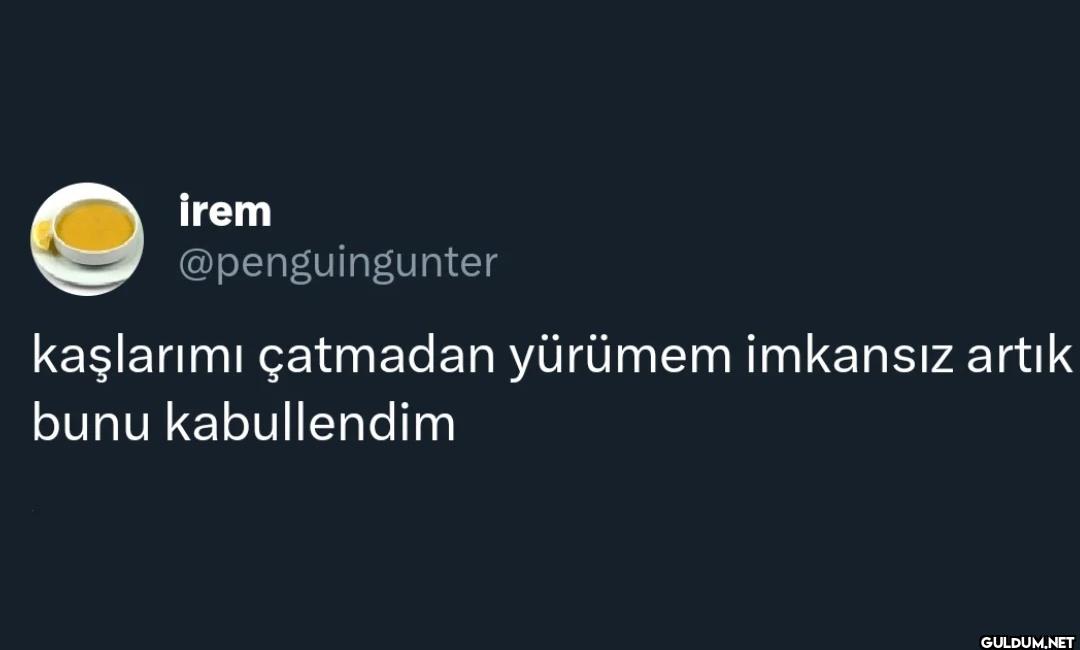 kaşlarımı çatmadan yürümem...