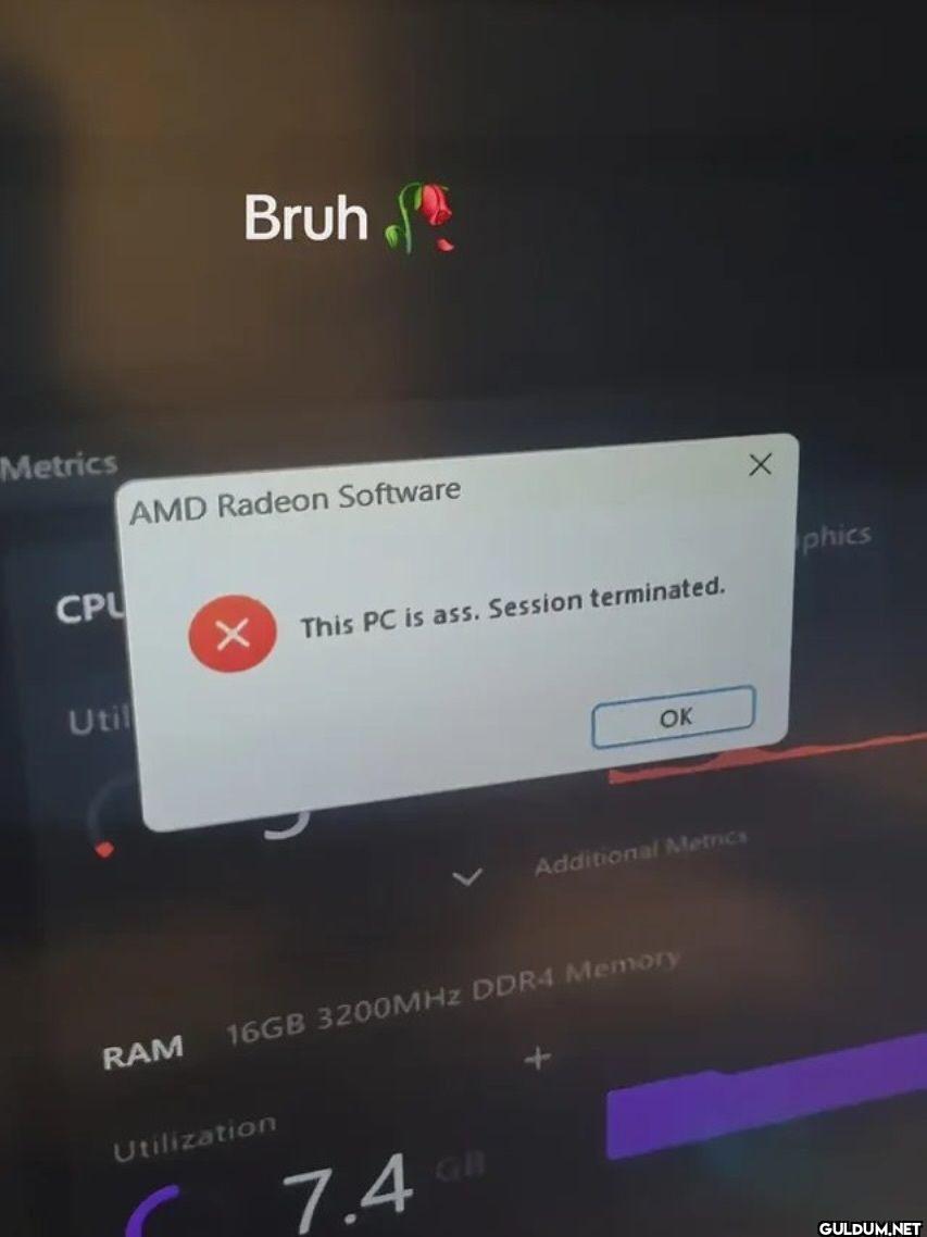 Bruh Metrics AMD Radeon...