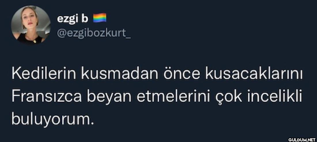 Kedilerin kusmadan önce...