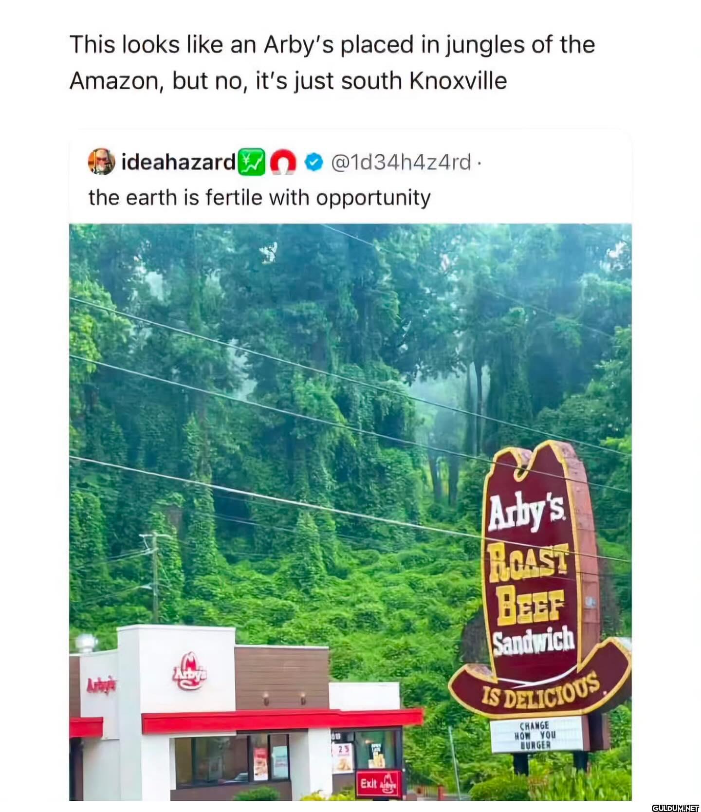 This looks like an Arby's...