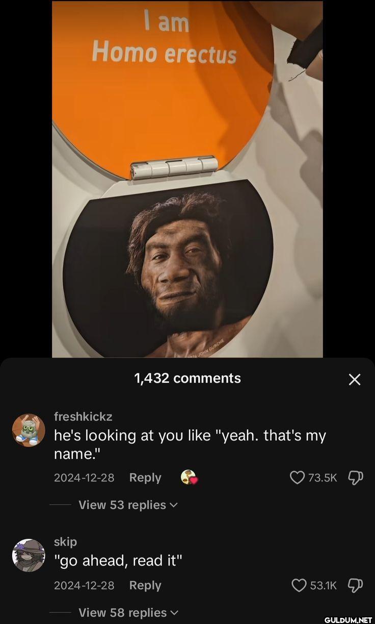 I am Homo erectus 1,432...