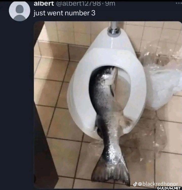 98 9m just went number 3...