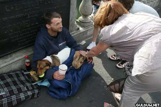 This homeless man's rabbit...