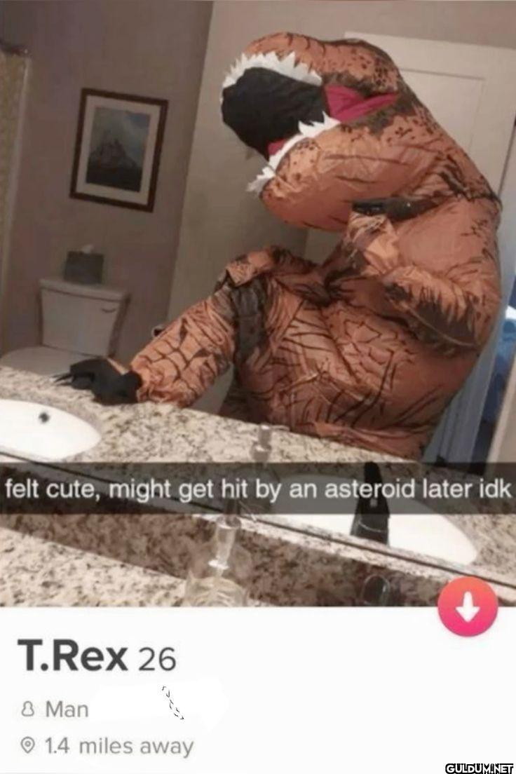 felt cute, might get hit...