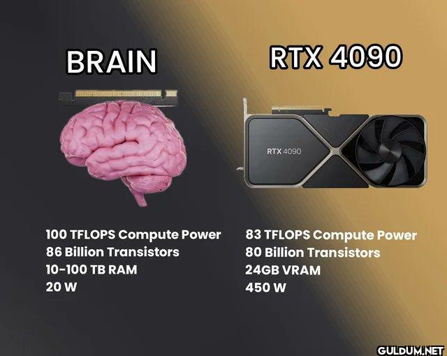BRAIN RTX 4090 RTX 4090...
