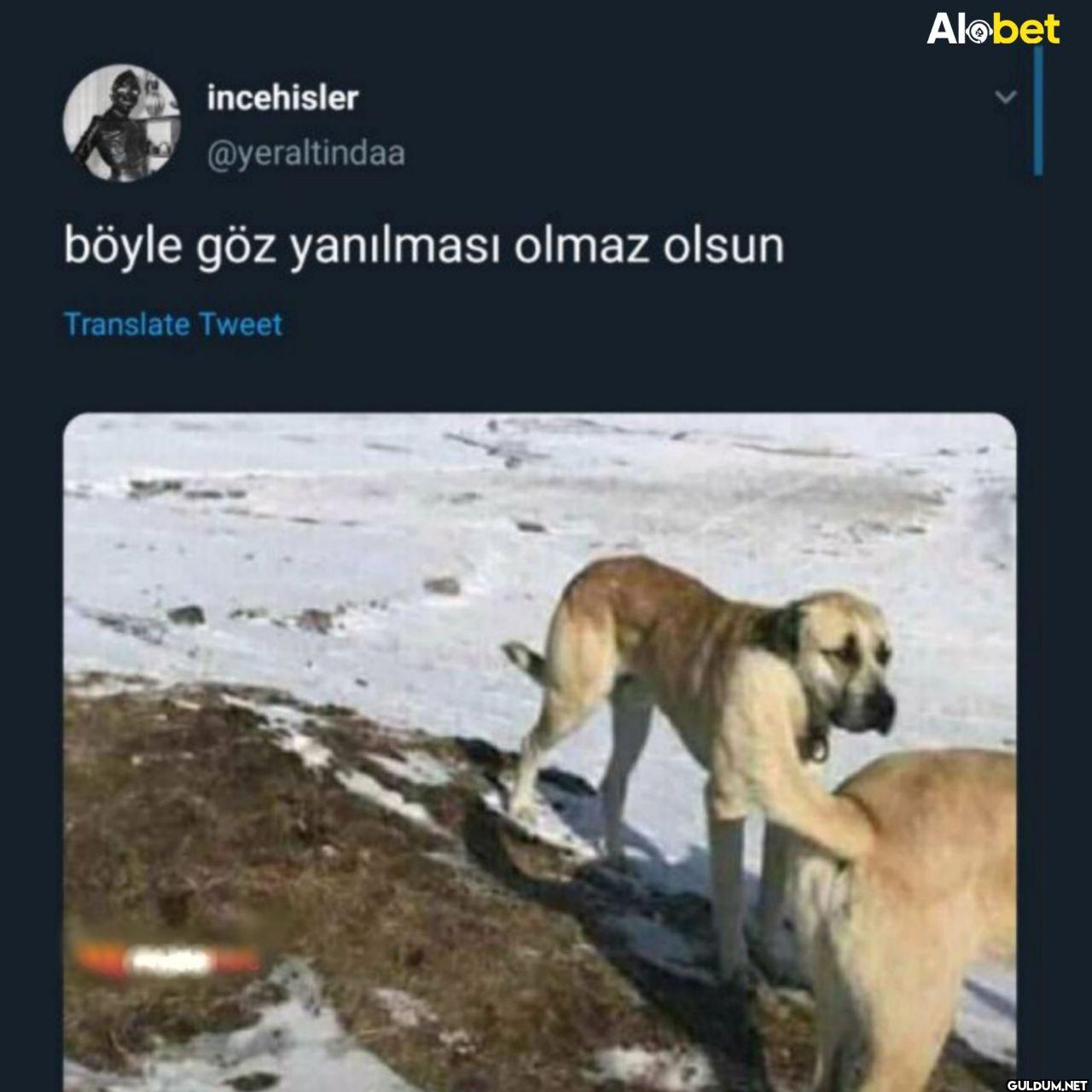 böyle göz yanılması olmaz...