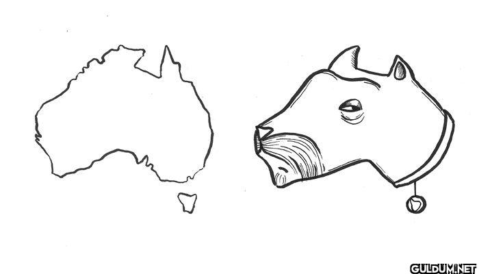 8. Australia