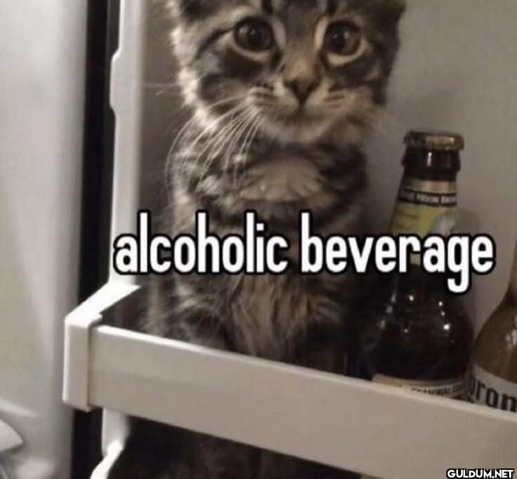 alcoholic beverage