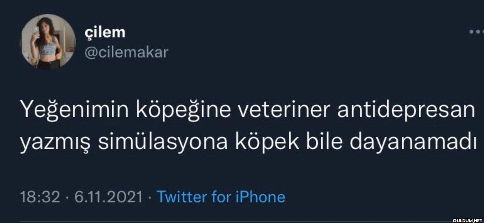 Yeğenimin köpeğine...