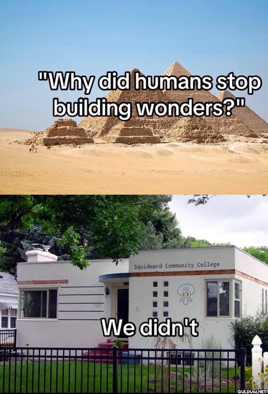"Why did humans stop...