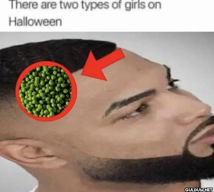 There are two types of...