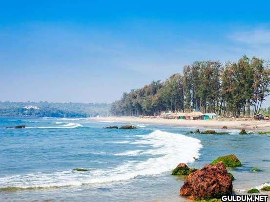8. Palolem Beach, Goa