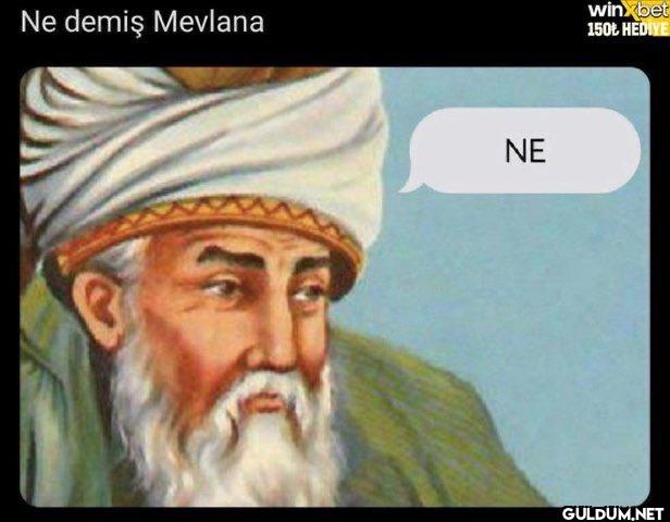 Ne demiş Mevlana NE...