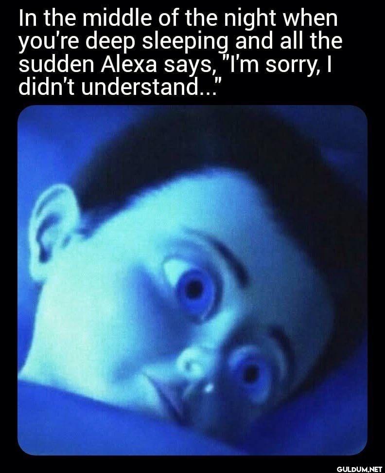 In the middle of the night...