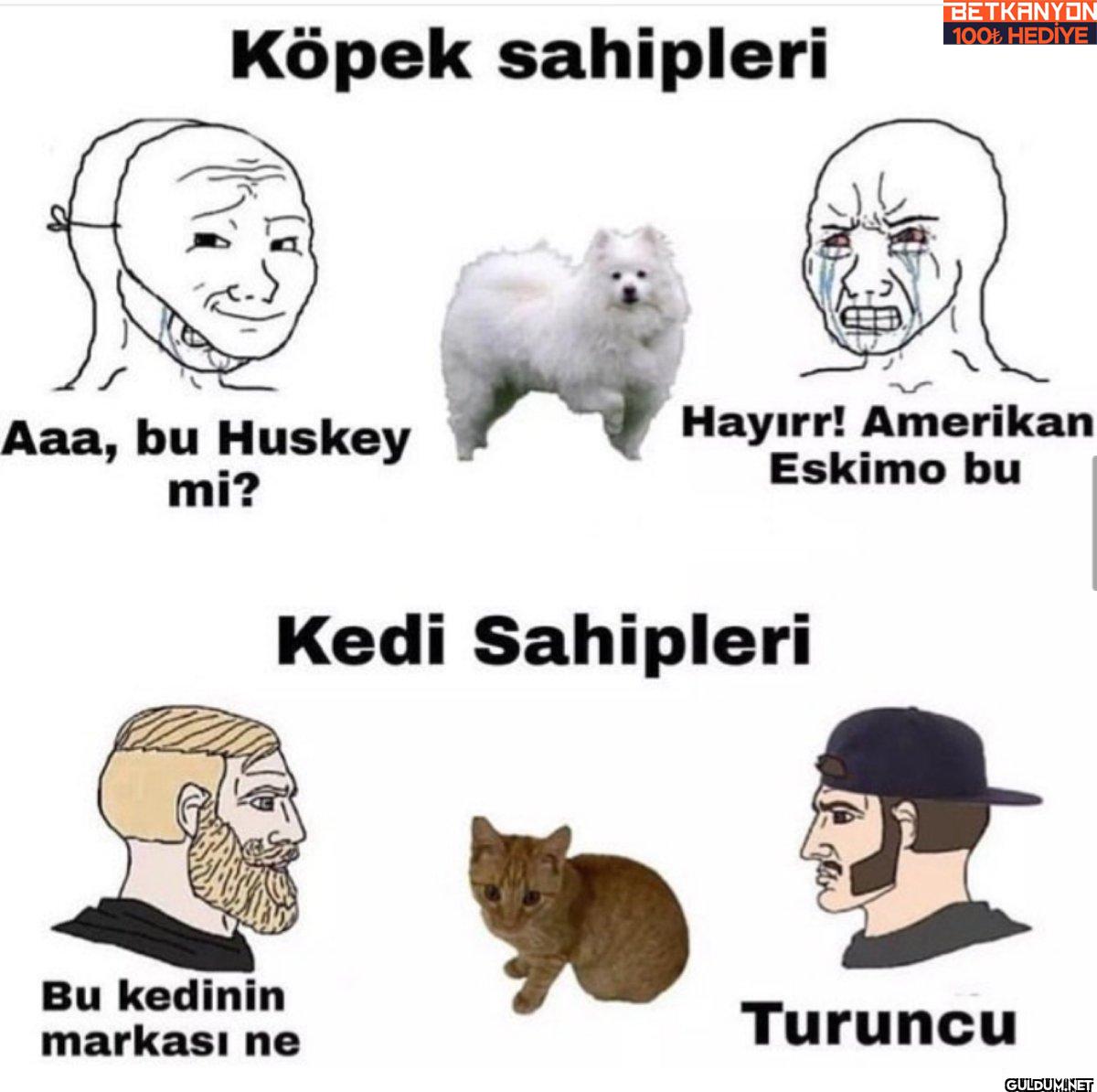 Köpek sahipleri BETKANYON...