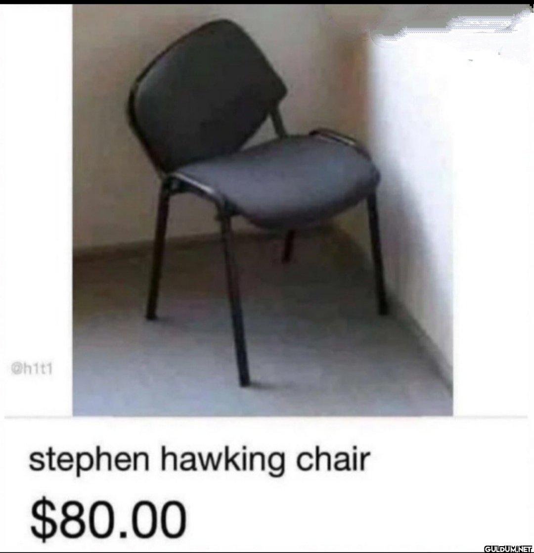 stephen hawking chair $80.00