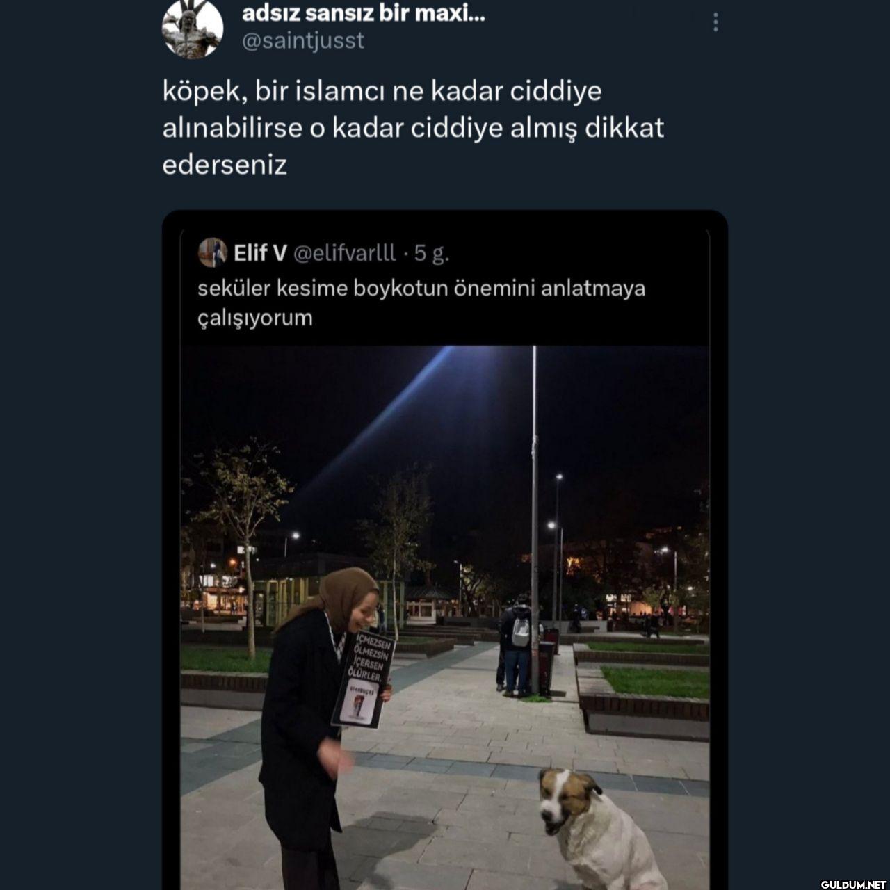 köpek, bir islamcı ne...
