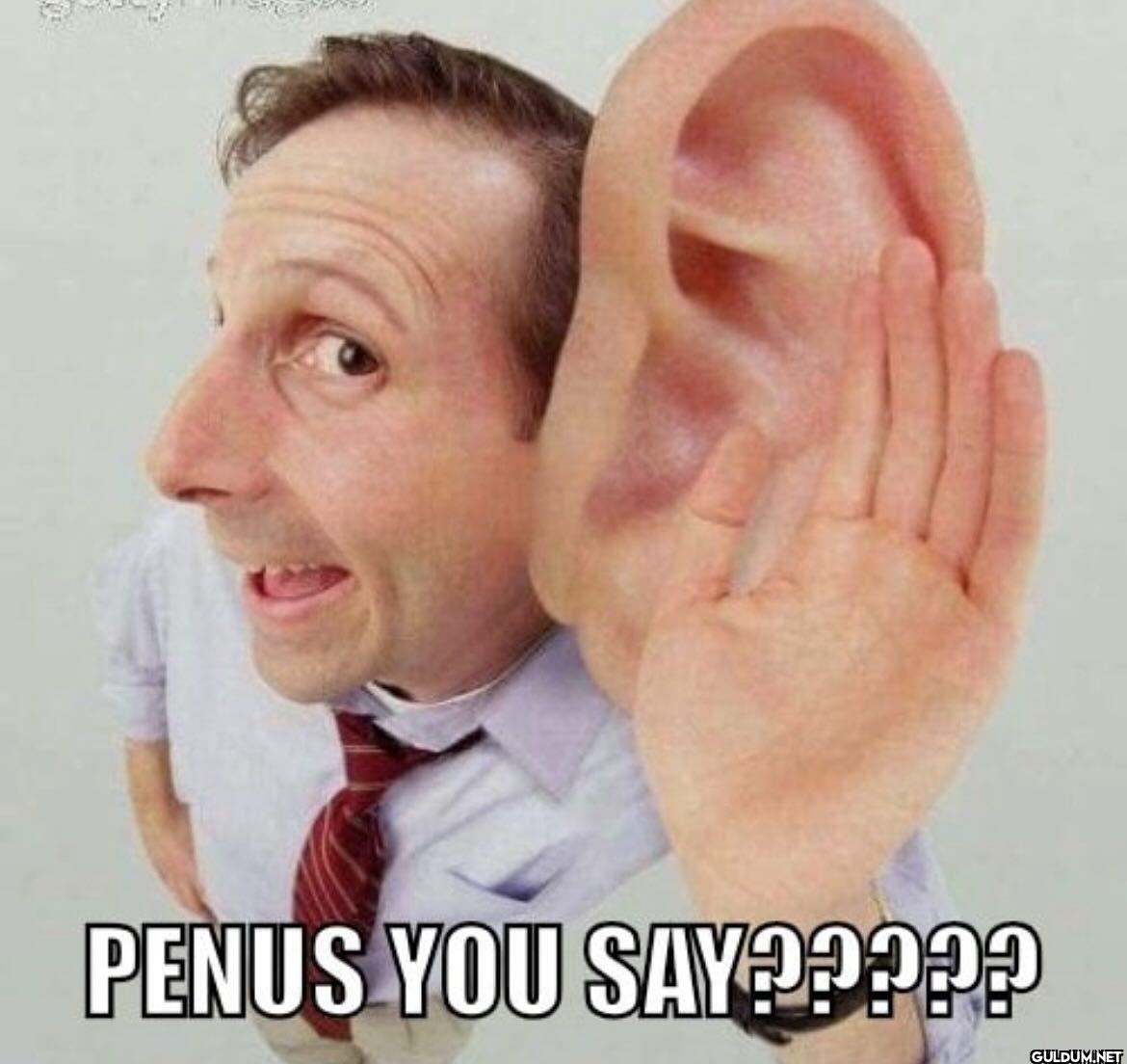 PENUS YOU SAY?????