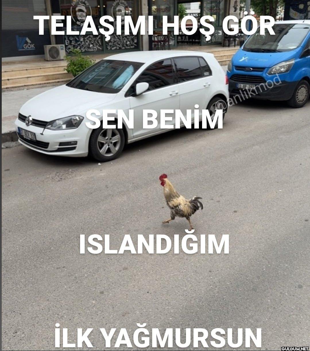 GOK TELAŞIMI HOŞ GÖR SEN...