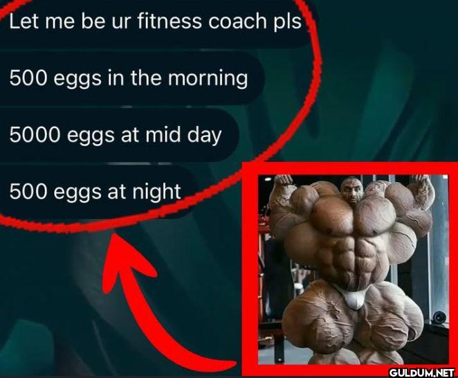 Let me be ur fitness coach...